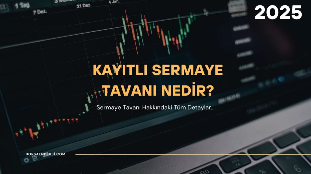 Kayıtlı Sermaye Tavanı Nedir?