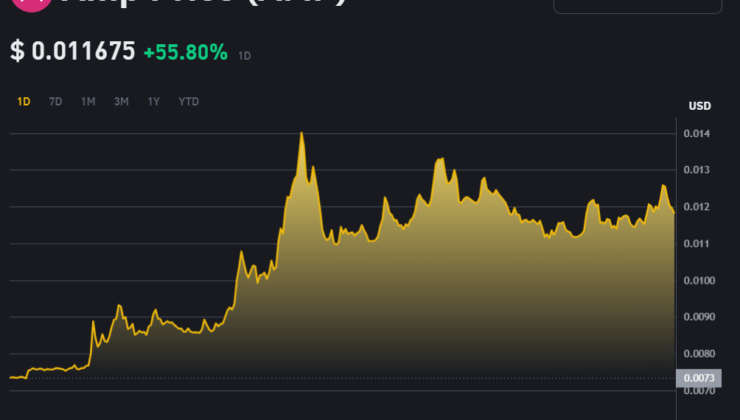 AMP Coin Yükseliş Grafiği