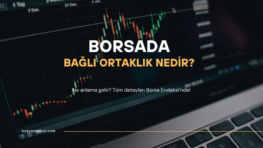 Bağlı Ortaklık Nedir