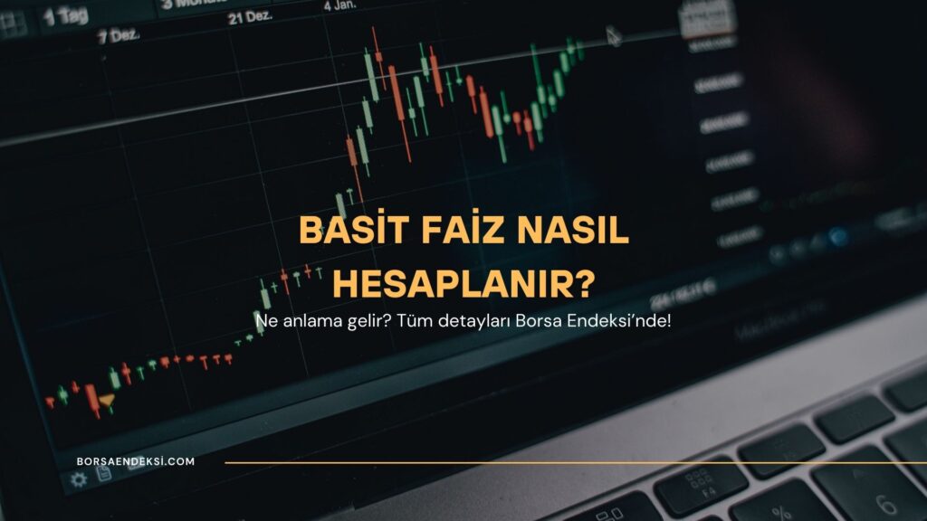 Basit Faiz Nasıl Hesaplanır