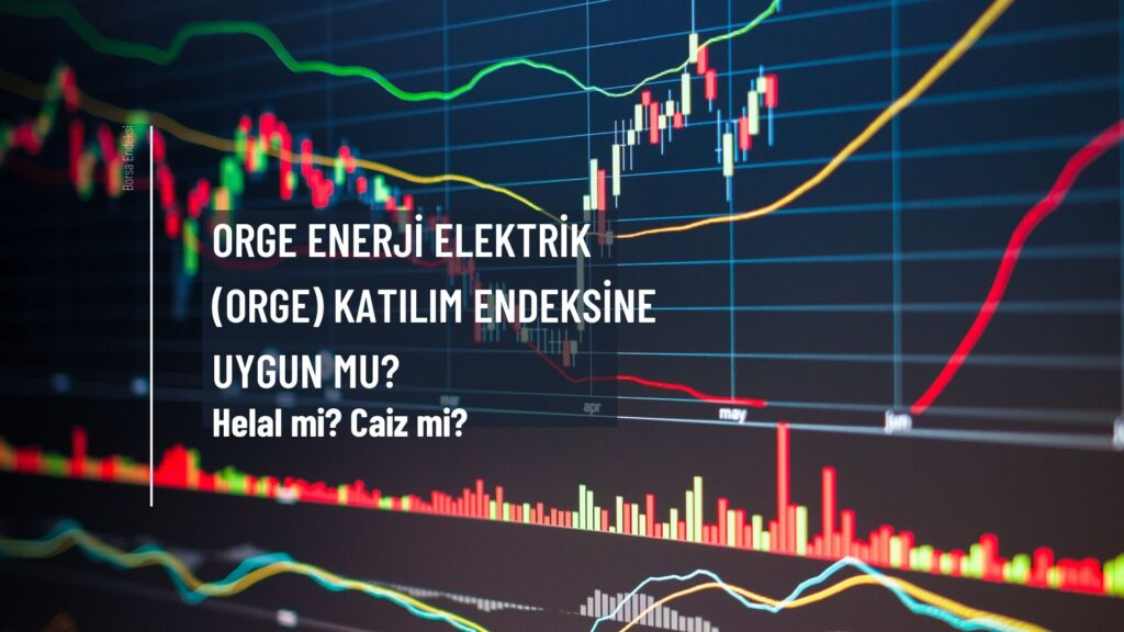 Orge Enerji Elektrik (ORGE) Katılım Endeksine Uygun Mu?