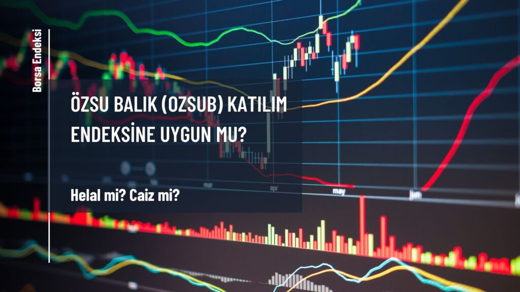 Özsu Balık (OZSUB) Katılım Endeksine Uygun Mu?