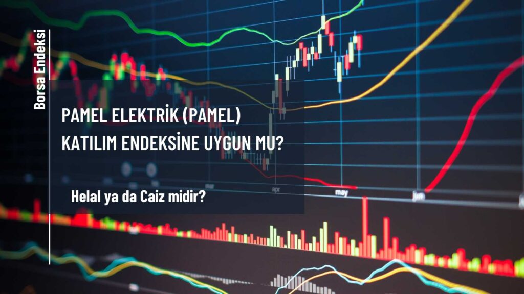 Pamel Elektrik (PAMEL) Katılım Endeksine Uygun Mu