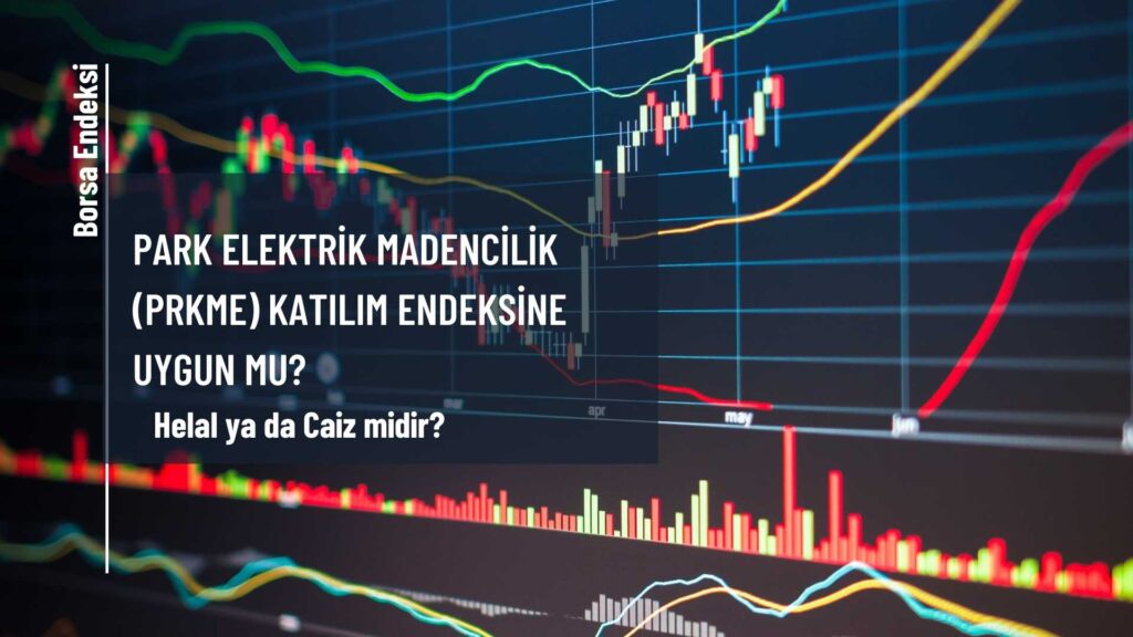 Park Elektrik Madencilik (PRKME) Katılım Endeksine Uygun Mu