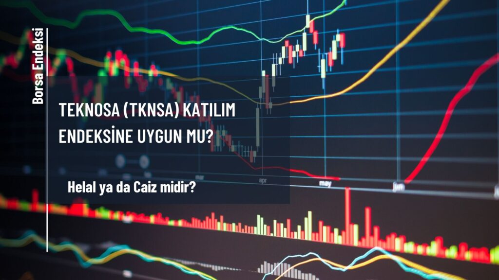 Teknosa (TKNSA) Katılım Endeksine Uygun Mu?