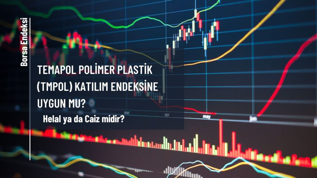 Temapol Polimer Plastik (TMPOL) Katılım Endeksine Uygun Mu