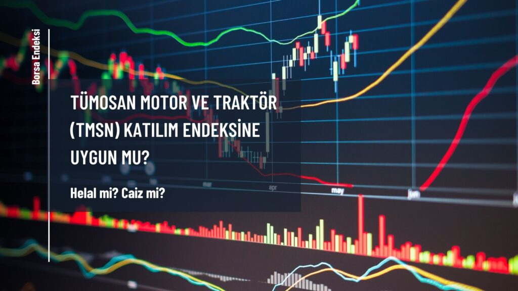 Tümosan Motor ve Traktör (TMSN) Katılım Endeksine Uygun Mu