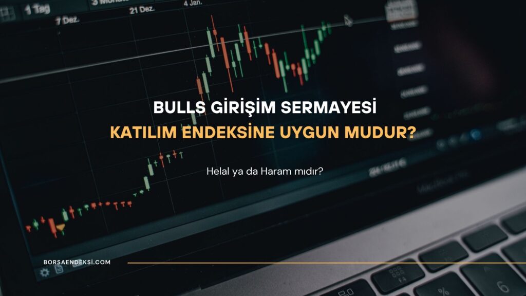 Bulls Girişim Katılım Endeksine Uygun mu?