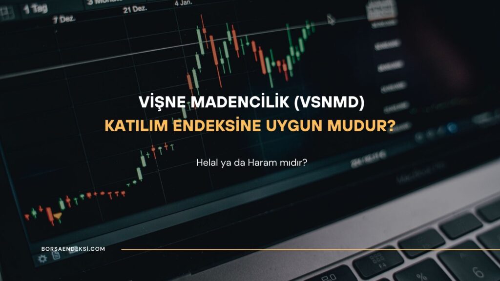 Vişne Madencilik (VSNMD) Katılım Endeksine Uygun mu?